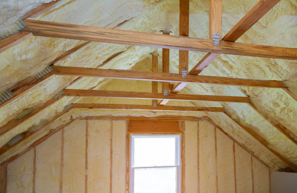 Insulation Inspection Services in Red Chute, LA