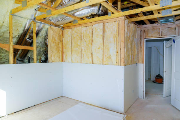 Best Insulation Replacement Services  in Red Chute, LA