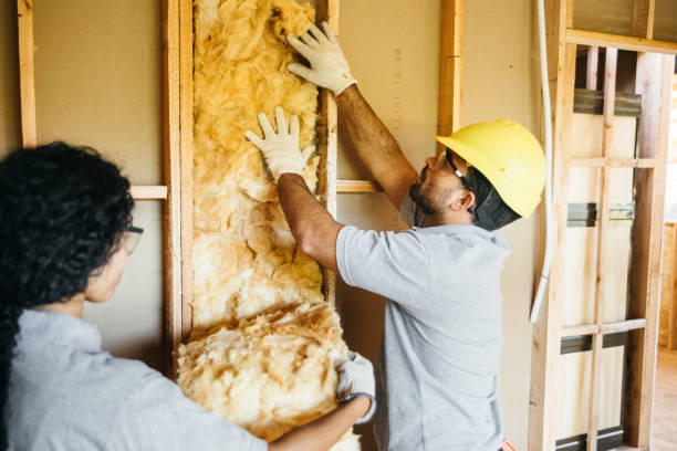 Range of Insulation Solutions in Red Chute, LA